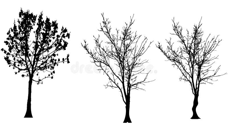 Vector silhouette of tree. stock illustration
