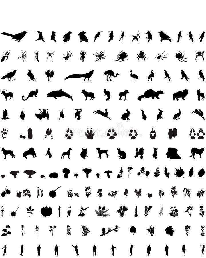 Vector silhouettes set. Set  5