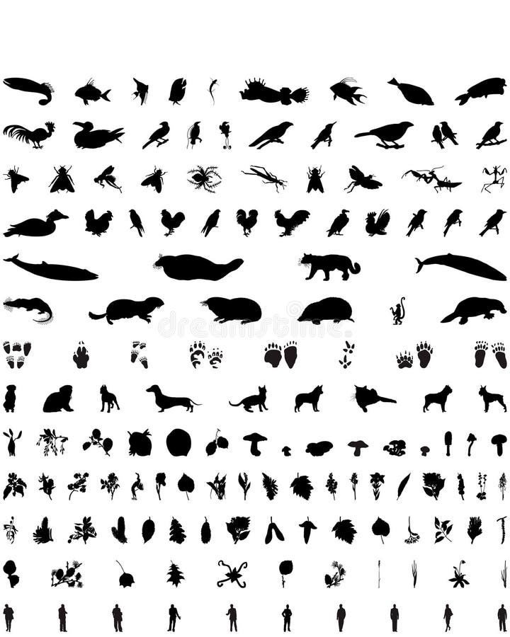 Vector silhouettes set. Set  7