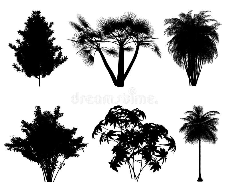 Vector silhouettes of tropical trees and bushes for backgrounds