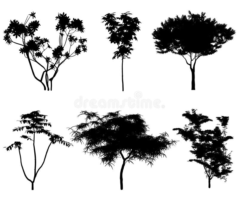 Vector silhouettes of tropical trees and bushes for backgrounds