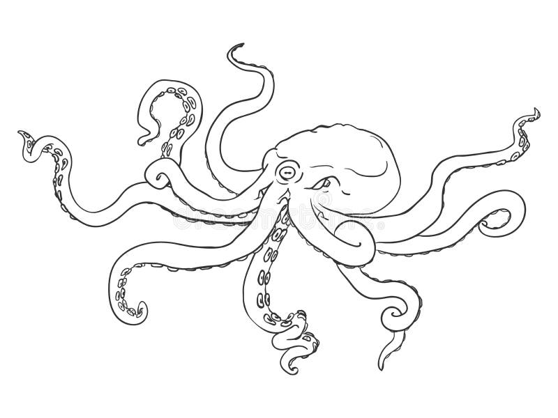 Vector Single Black Outline Illustration - Octopus. Wild Underwater Animal. Stock Vector - Illustration of cartoon, biology: 129924360 Vector Single Black Outline Illustration - Octopus. Wild Underwater Animal. Stock Vector - Illustration of cartoon, biology: 129924360