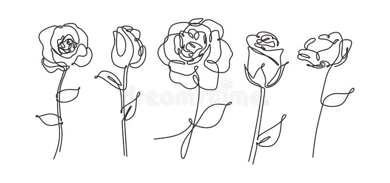 Vector single one line drawn set of flowers. Rose flower drawing outline illustration isolated on white background. Botanical royalty free illustration