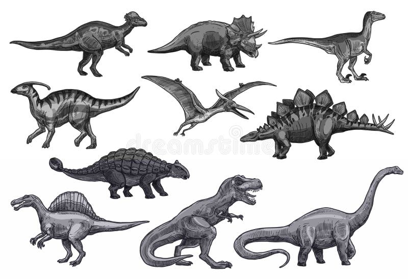 23,900+ Dinosaurs Drawing Stock Illustrations, Royalty-Free Vector Graphics  & Clip Art - iStock