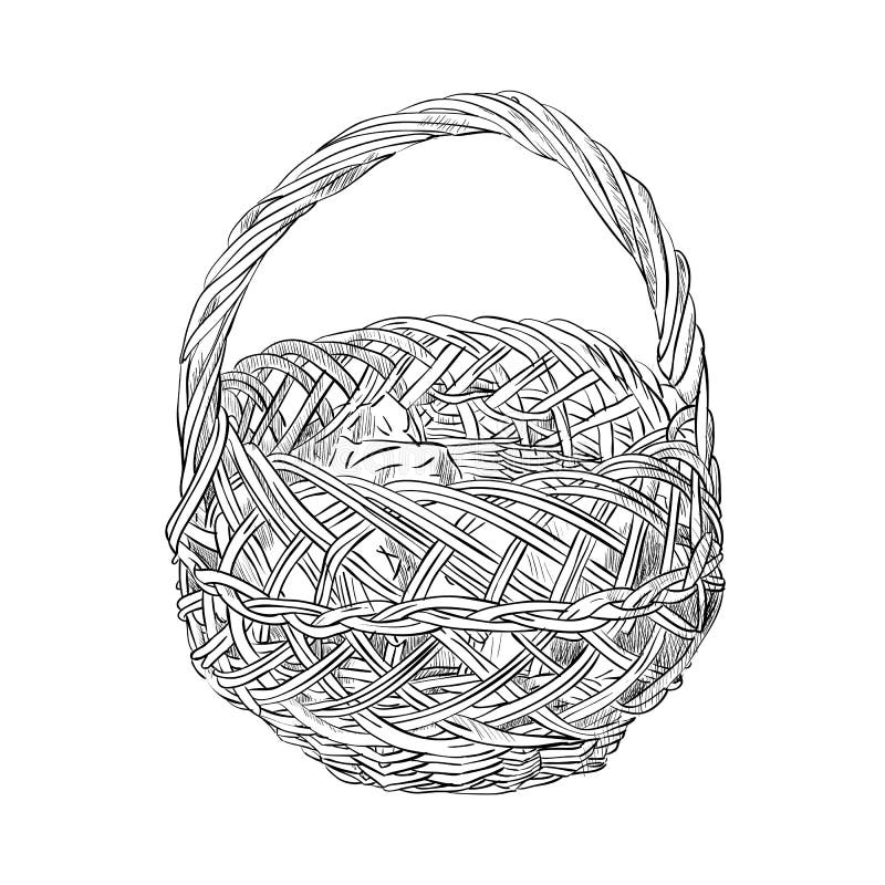 Vector Sketch of Wicker Basket Stock Vector Illustration of household