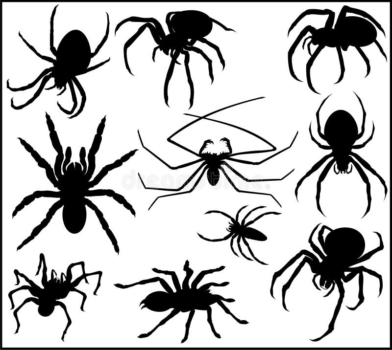 Vector Spider Silhouette Collection illustratioin