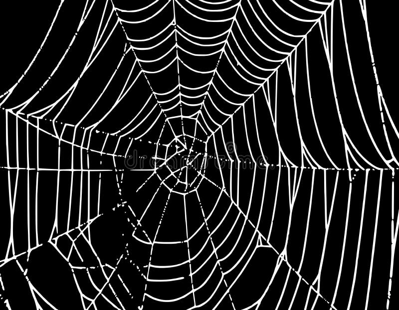 Vector Spider Web Background T