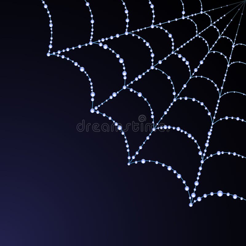 Vector spider web illustration