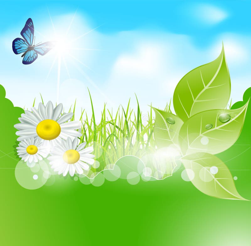 Vector spring banner with leaves and grass royalty free illustration
