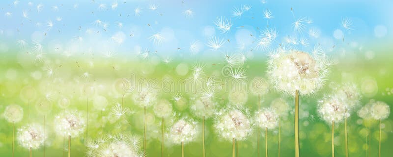 Vector spring nature background. vector illustration