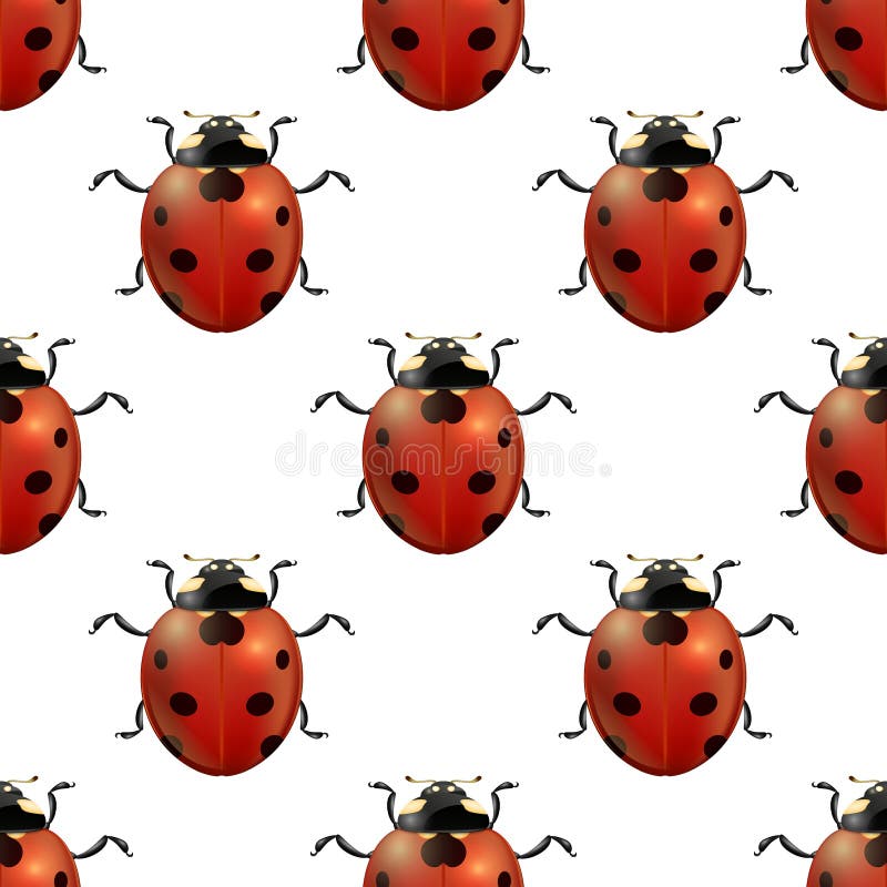 Download Ladybug Insect Illustration Royalty-Free Stock