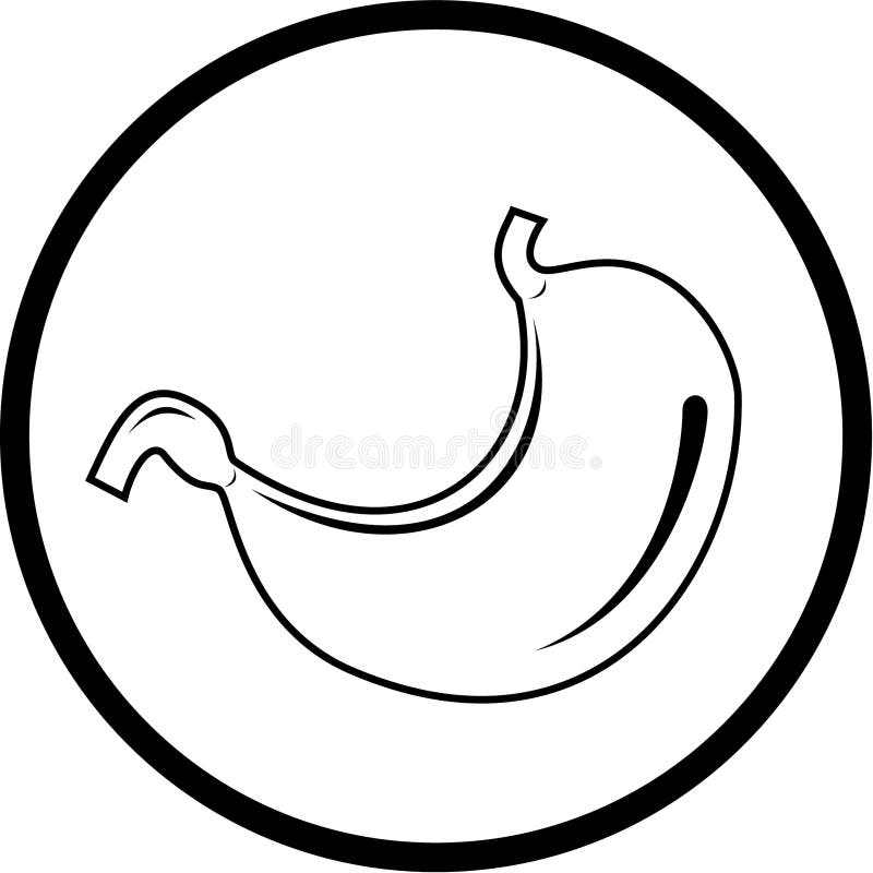 Vector stomach icon royalty free illustration