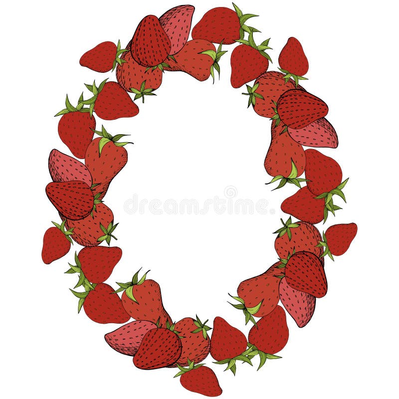 Vector Strawberry fresh fruit healthy food. Red and green engraved ink art. Frame border ornament square. royalty free illustration Vector Strawberry fresh fruit healthy food. Red and green engraved ink art. Frame border ornament square. royalty free illustration