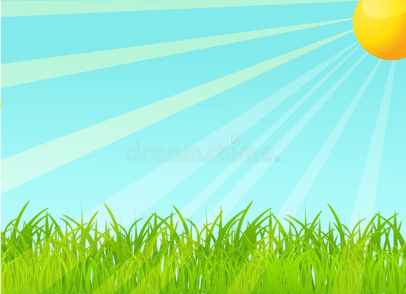 Vector summer background