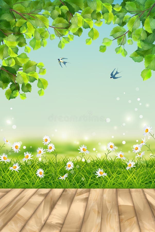 Vector Summer landscape royalty free illustration