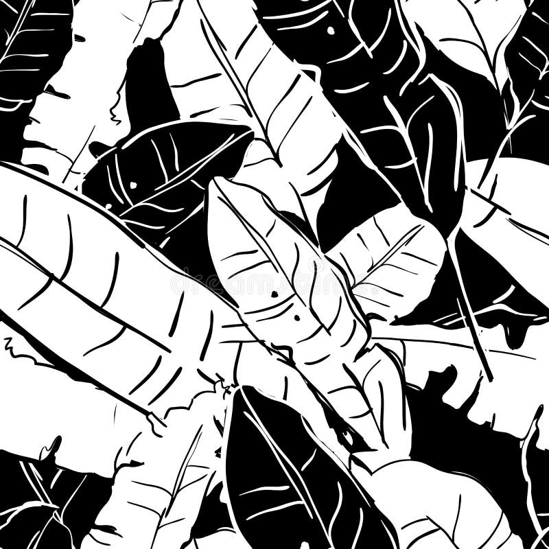 Vector summer seamless pattern with monochrome banana palm leaves. Tropical leaves, floral black and white background.