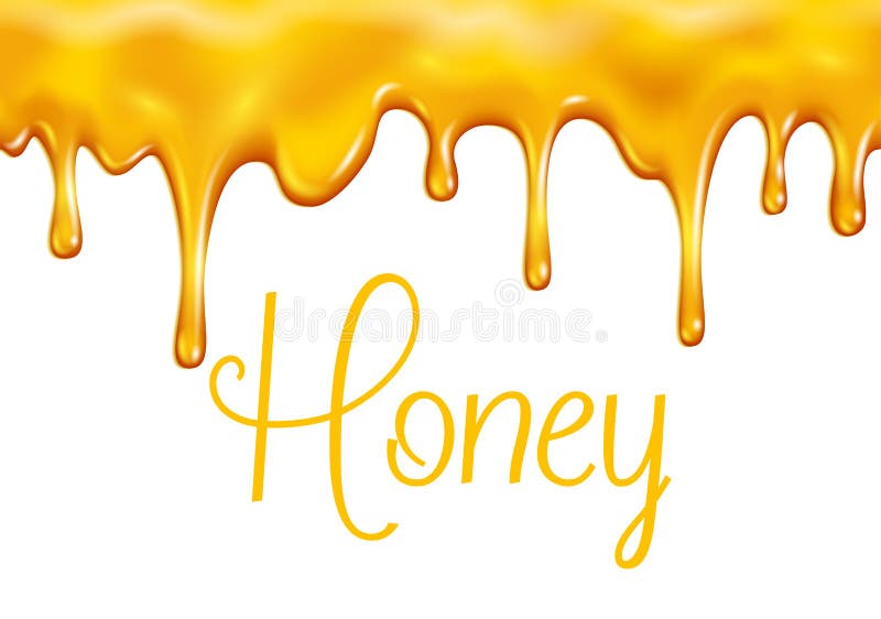 Vector sweet honey dripping for bakery shop