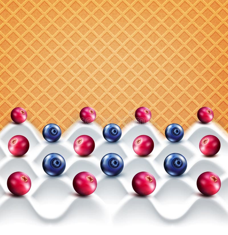 Vector template: wave yogurt with berries (cranberries, bluebe