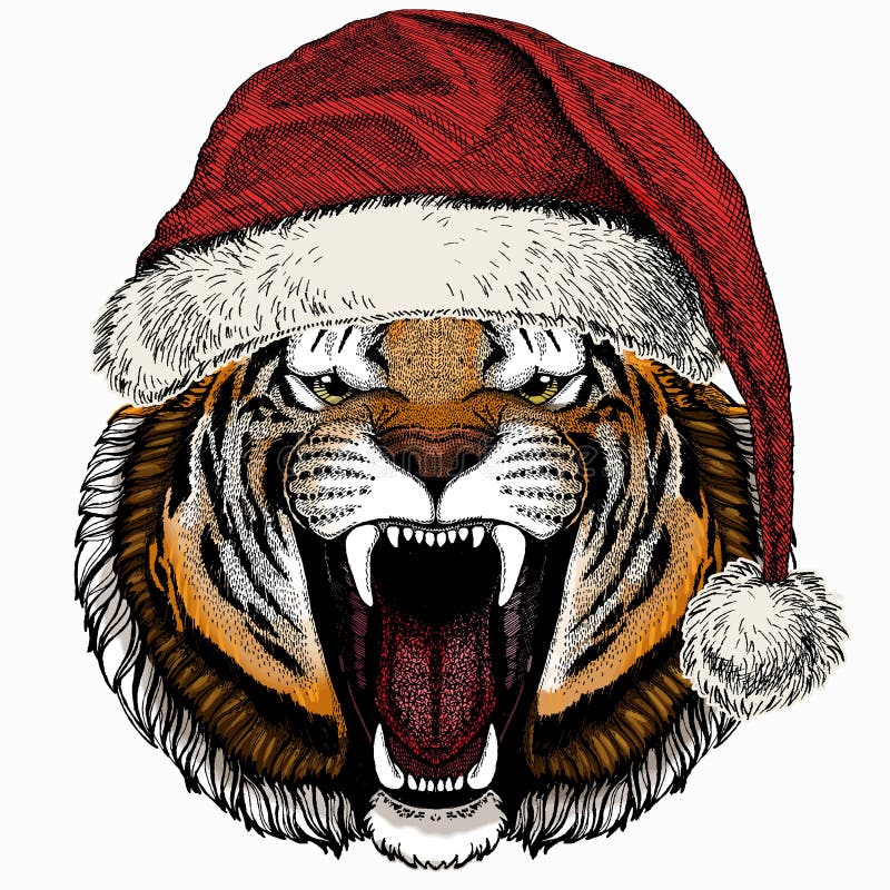 https://thumbs.dreamstime.com/b/vector-tiger-portrait-christmas-winter-animal-animal-head-christmas-red-santa-claus-hat-christmas-red-santa-claus-hat-animal-204553721.jpg