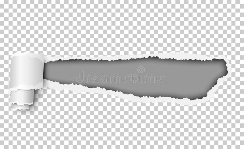 Vector Torn A Half Sheet Of Transparent Paper From The Bottom With White  Remaining Paper Part Template Design Stock Illustration - Download Image  Now - iStock