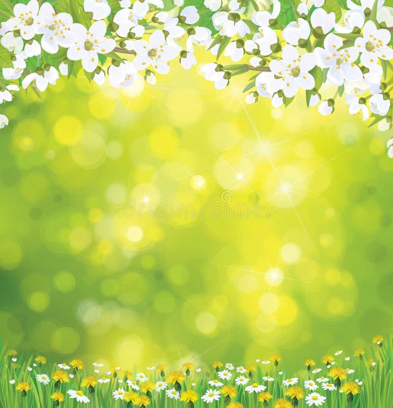 Vector tot bloei komende boom op de lenteachtergrond. stock illustratie Vector tot bloei komende boom op de lenteachtergrond. stock illustratie