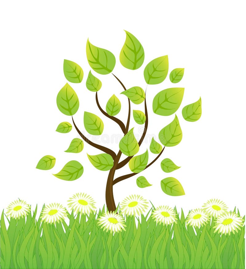 Vector tree vector illustration