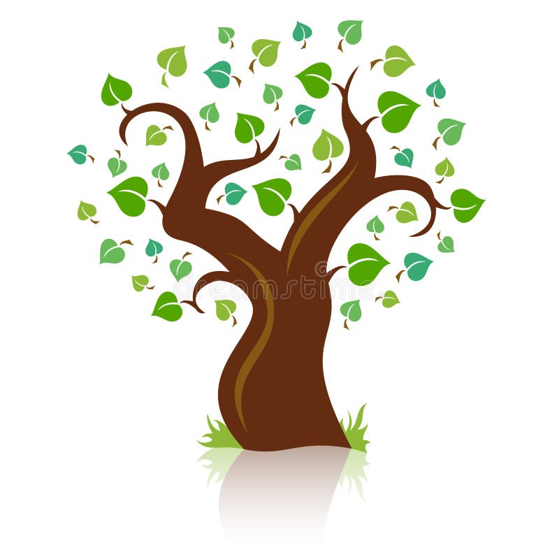 Vector tree vector illustration