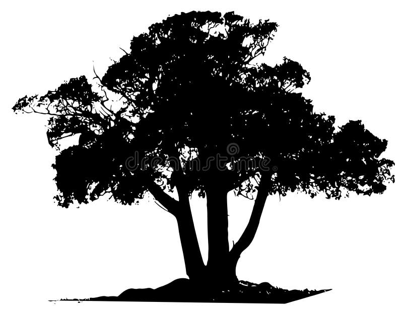 Ilustraciones de el único El gran negro un árbol silueta en blanco.