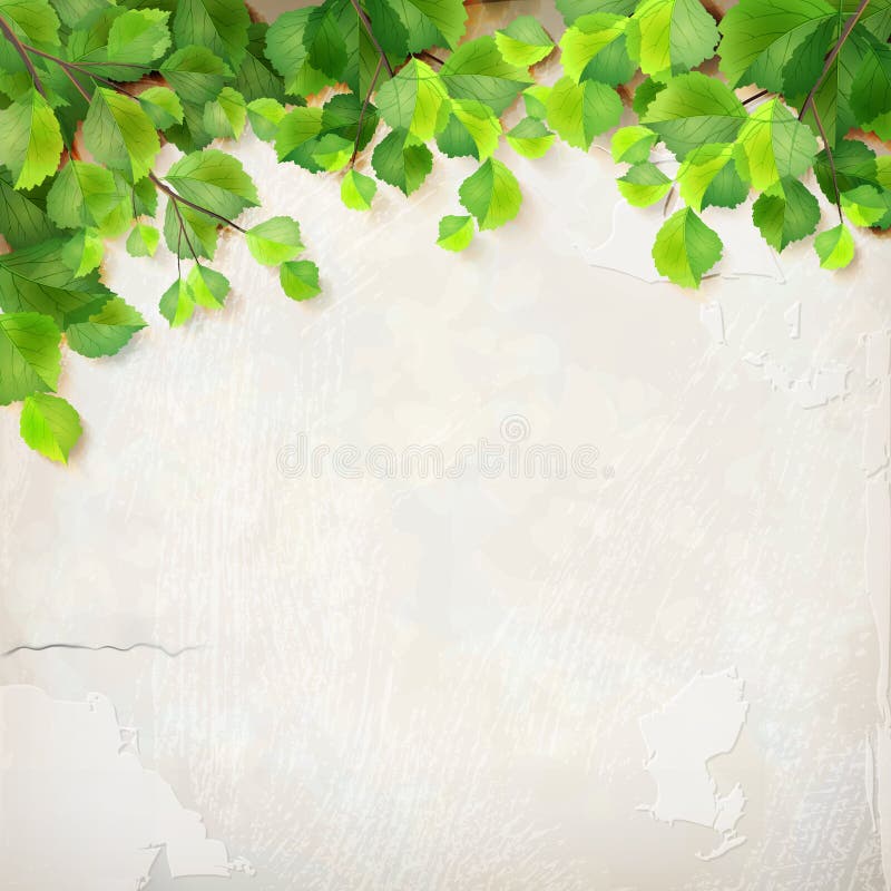 Vector tree branch leaves plaster wall background