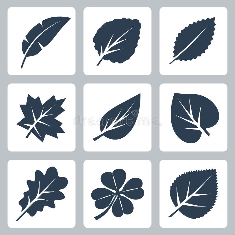 Vector tree leaves icons set stock illustration Vector tree leaves icons set stock illustration