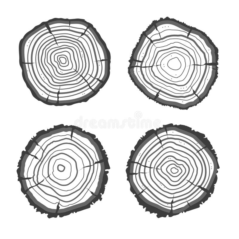 Collection of tree rings. stock vector. Illustration of natural - 102695308