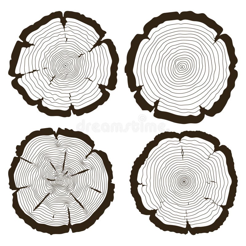 Tree Ring And Saw Cut Tree Trunk - White Vector Icon Stock Vector ...