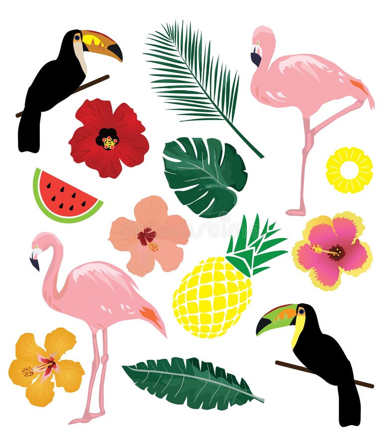 Vector Tropical Elements stock vector. Illustration of trendy - 96153885