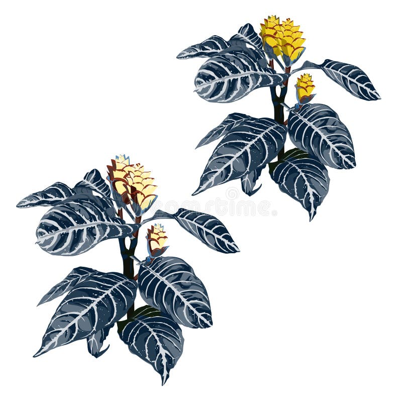 Vector tropical fijado con una flor amarilla exótica, una rama de la palma stock de ilustración Vector tropical fijado con una flor amarilla exótica, una rama de la palma stock de ilustración