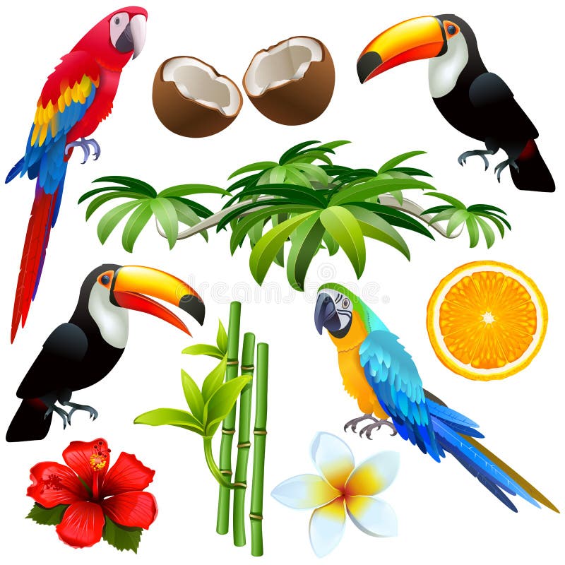 Vector Tropical Icons isolated on white background. Tropical animal icons vectors