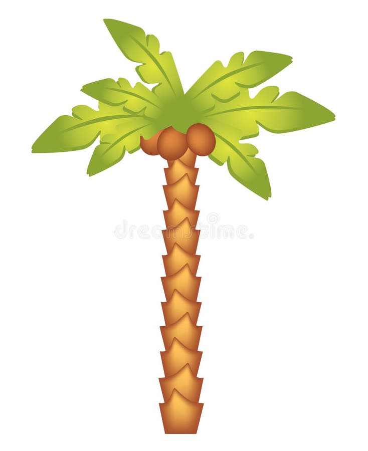 Vector tropical palm trees stock vector. Illustration of leaves - 20157217 Vector tropical palm trees stock vector. Illustration of leaves - 20157217