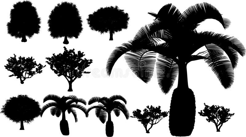 Il grande tropicale un albero un prossimo vettore pianta.