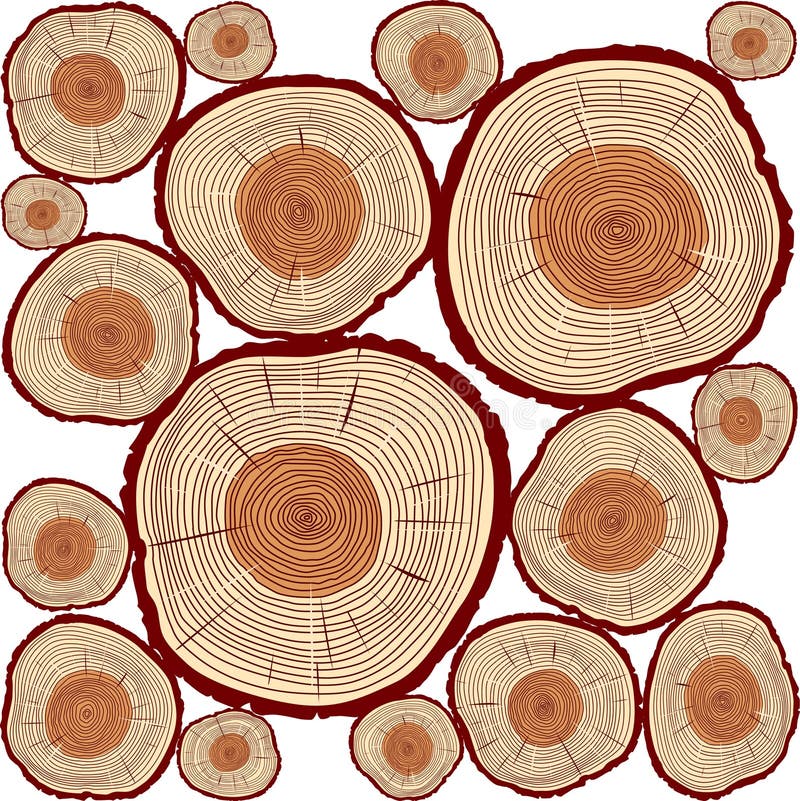 Set a Cross Section of the Trunk with Tree Rings. Vector. Logo. Tree ...