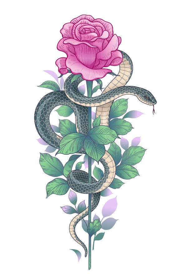 Vector Twisted Snake and Pink Rose on High Stem