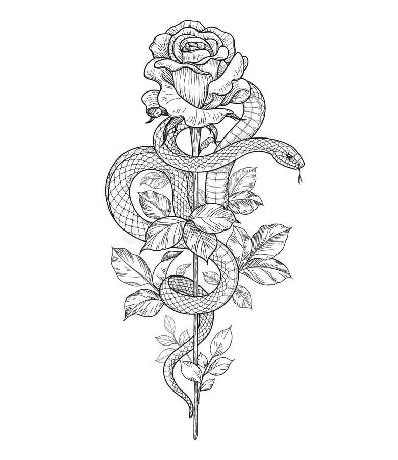 Vector Twisted Snake and Rose Flower