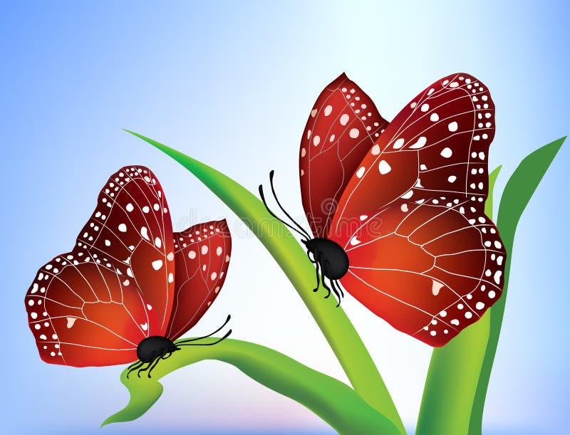 Vector two butterflies stock vector. Illustration of clip - 9453025