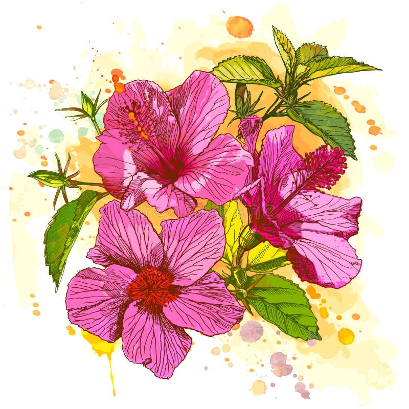 Vector watercolor flower