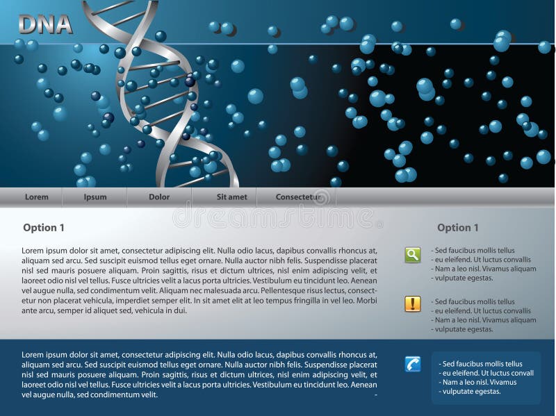Vector website design template vector illustration