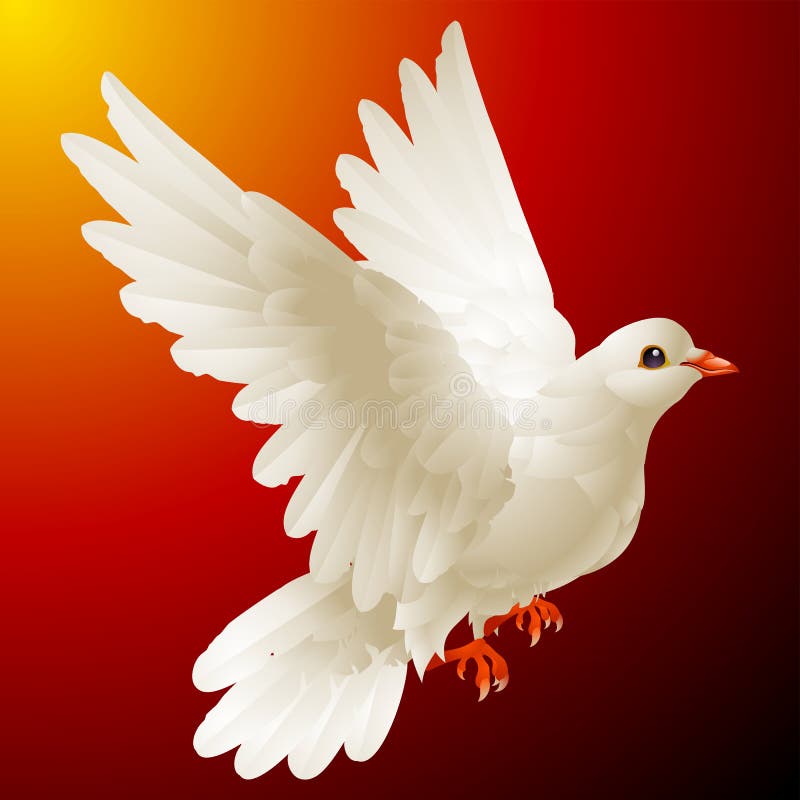 Vector white dove in flight