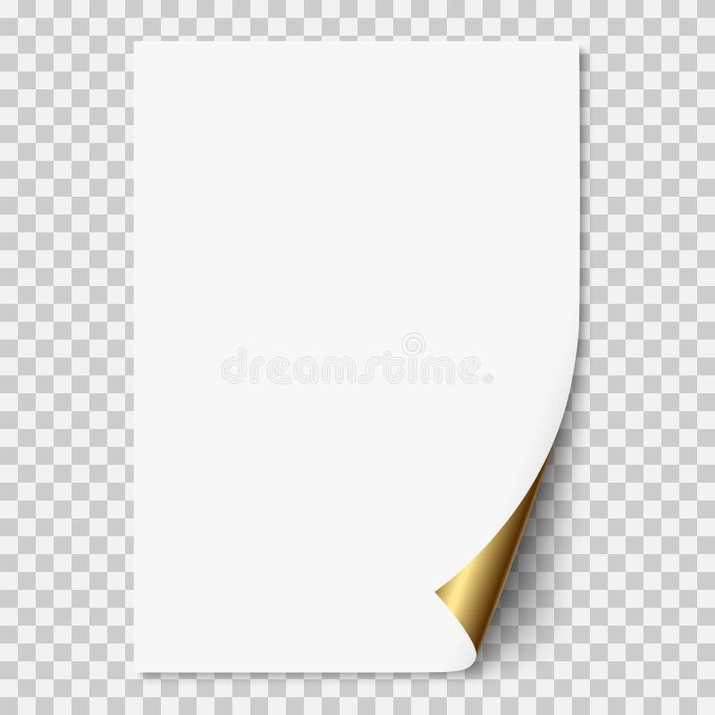 White A4 paper sheet with with linear pattern on transparent background.  Vector. Stock Vector