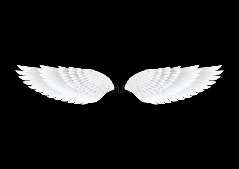 Black And White Wings Wallpaper