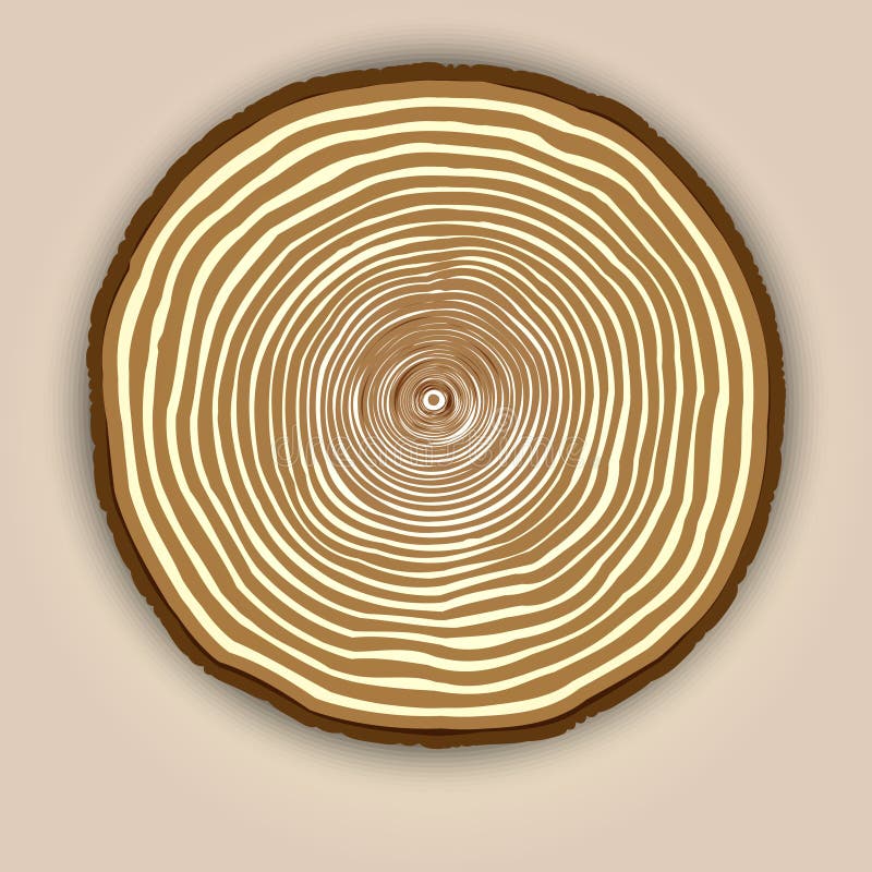 Vector wood texture background with tree rings