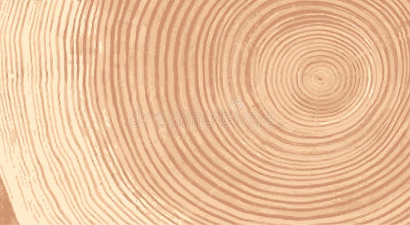 Vector wood texture of wavy ring pattern from a slice of tree. Grayscale wooden stump isolated on white. vector illustration
