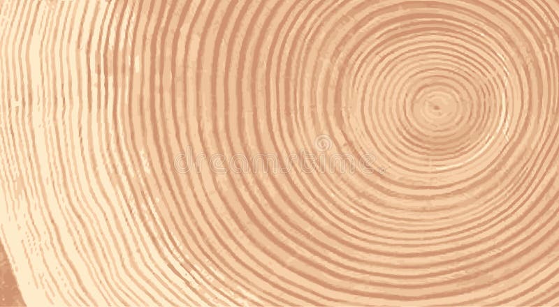 Vector wood texture of wavy ring pattern from a slice of tree. Grayscale wooden stump isolated on white.