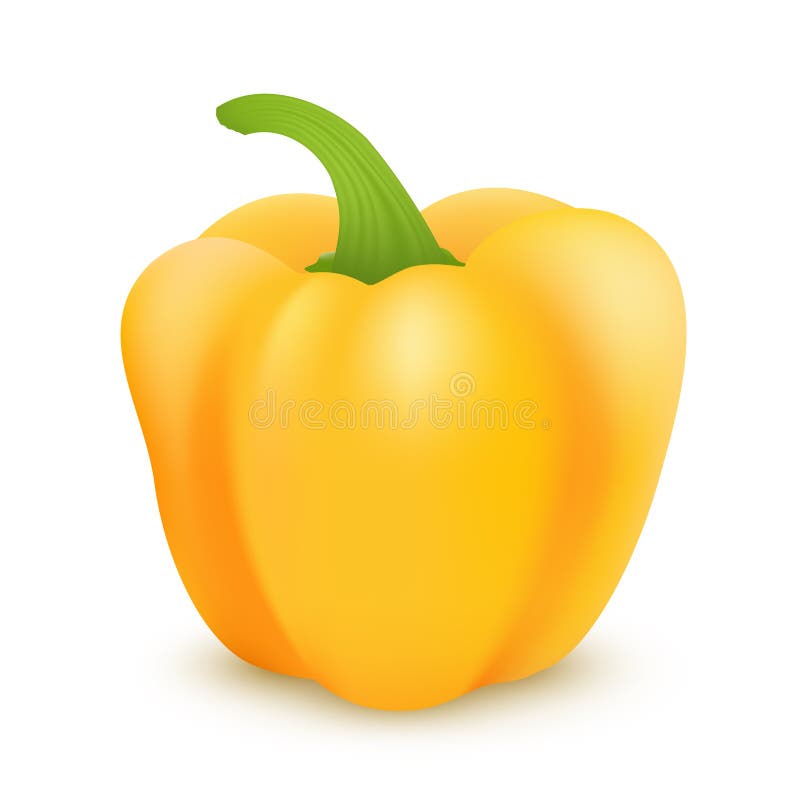 Vector yellow sweet bulgarian bell pepper, paprika isolated on white background